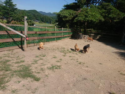 f:id:roukenhome-ann:20190811212828j:plain