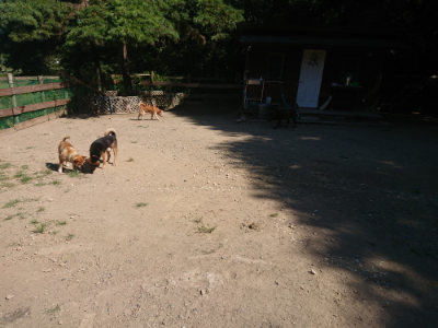 f:id:roukenhome-ann:20190811212833j:plain