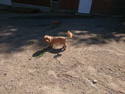 f:id:roukenhome-ann:20190811212839j:plain