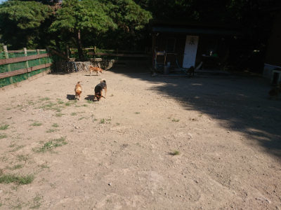 f:id:roukenhome-ann:20190811212909j:plain