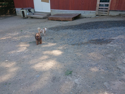 f:id:roukenhome-ann:20190811212917j:plain