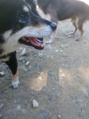 f:id:roukenhome-ann:20190811213022j:plain