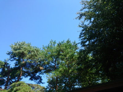 f:id:roukenhome-ann:20190811213051j:plain