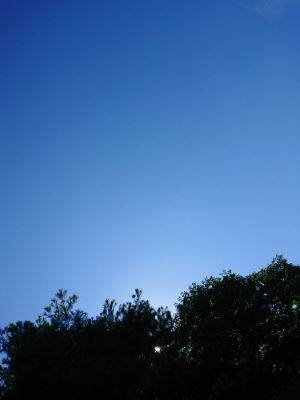 f:id:roukenhome-ann:20190811213145j:plain