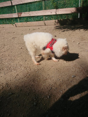 f:id:roukenhome-ann:20190811214042j:plain