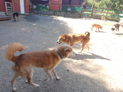 f:id:roukenhome-ann:20190811214238j:plain