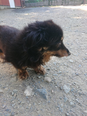 f:id:roukenhome-ann:20190811214248j:plain
