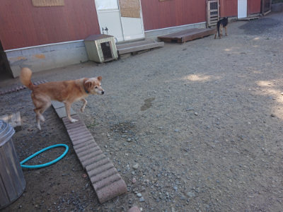 f:id:roukenhome-ann:20190811214315j:plain