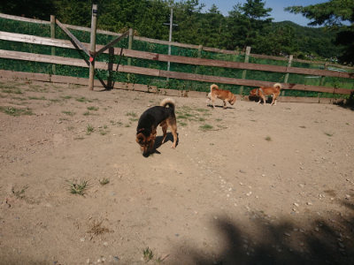 f:id:roukenhome-ann:20190811214331j:plain
