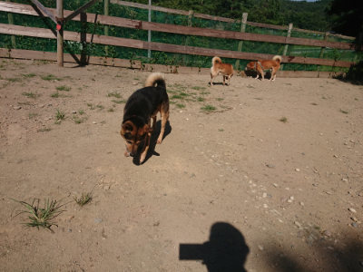 f:id:roukenhome-ann:20190811214338j:plain