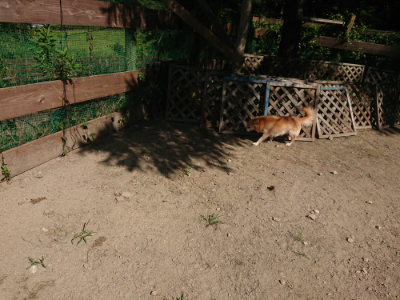 f:id:roukenhome-ann:20190811214352j:plain