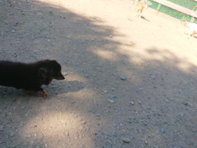 f:id:roukenhome-ann:20190811214412j:plain