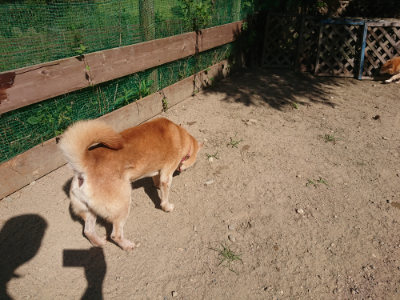 f:id:roukenhome-ann:20190811214445j:plain