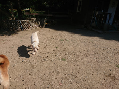 f:id:roukenhome-ann:20190811214507j:plain