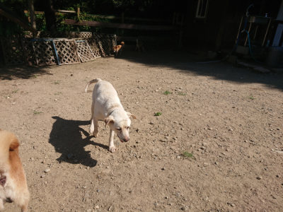 f:id:roukenhome-ann:20190811214518j:plain
