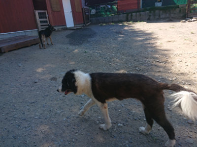 f:id:roukenhome-ann:20190811214653j:plain