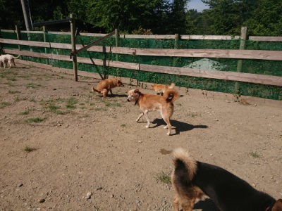 f:id:roukenhome-ann:20190811214703j:plain