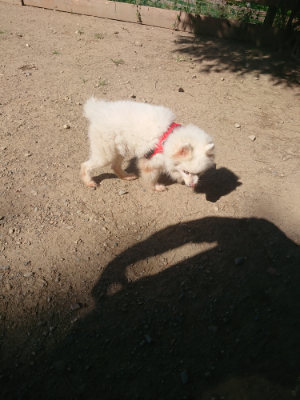 f:id:roukenhome-ann:20190811214744j:plain