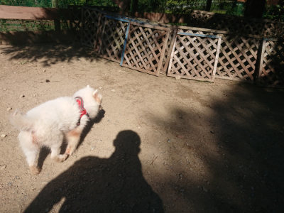 f:id:roukenhome-ann:20190811214810j:plain