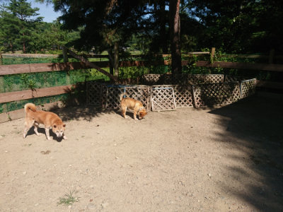 f:id:roukenhome-ann:20190811214821j:plain