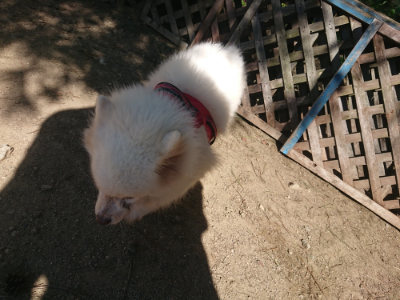 f:id:roukenhome-ann:20190811214953j:plain