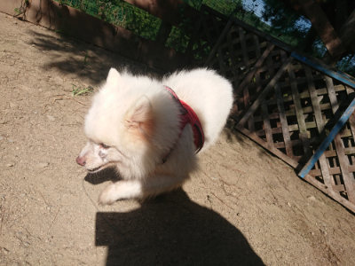 f:id:roukenhome-ann:20190811215002j:plain