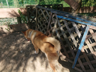 f:id:roukenhome-ann:20190811215024j:plain