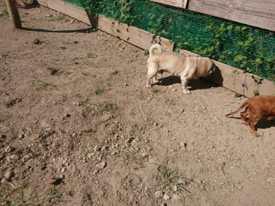 f:id:roukenhome-ann:20190811215031j:plain