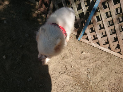 f:id:roukenhome-ann:20190811215046j:plain