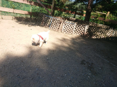 f:id:roukenhome-ann:20190811215251j:plain