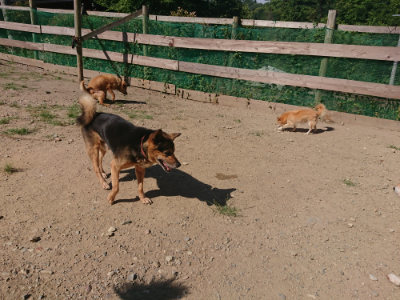 f:id:roukenhome-ann:20190811220559j:plain