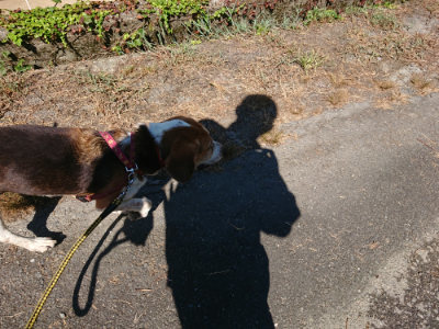 f:id:roukenhome-ann:20190811220739j:plain