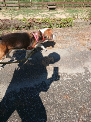 f:id:roukenhome-ann:20190811220749j:plain