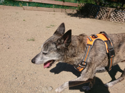 f:id:roukenhome-ann:20190811220827j:plain