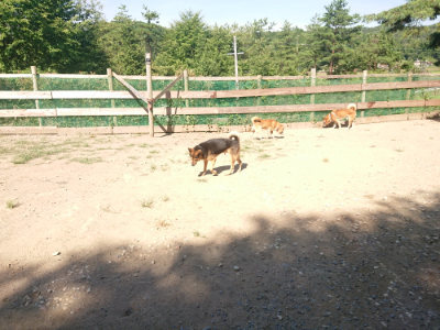 f:id:roukenhome-ann:20190811220924j:plain