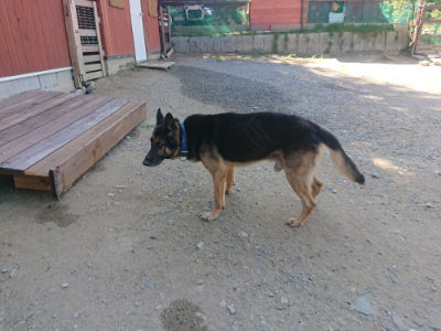 f:id:roukenhome-ann:20190811220943j:plain