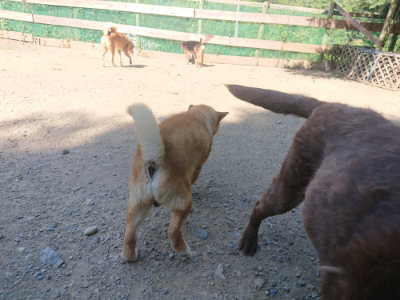 f:id:roukenhome-ann:20190811221025j:plain
