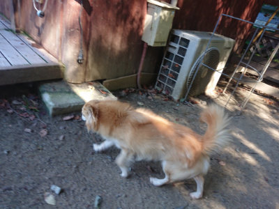 f:id:roukenhome-ann:20190812050057j:plain