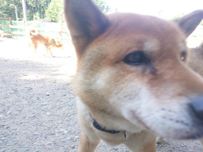 f:id:roukenhome-ann:20190812050125j:plain