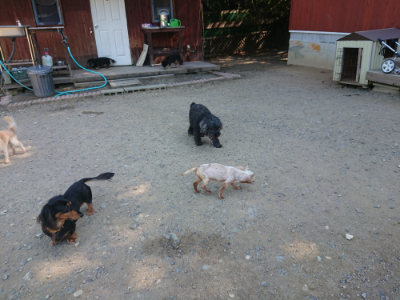 f:id:roukenhome-ann:20190812050139j:plain