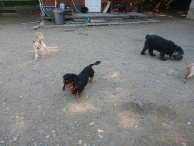 f:id:roukenhome-ann:20190812050144j:plain