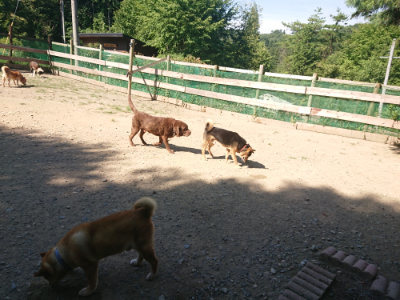 f:id:roukenhome-ann:20190812050156j:plain