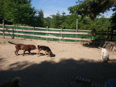 f:id:roukenhome-ann:20190812050201j:plain