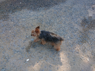 f:id:roukenhome-ann:20190812050207j:plain