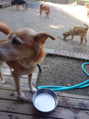 f:id:roukenhome-ann:20190812050221j:plain