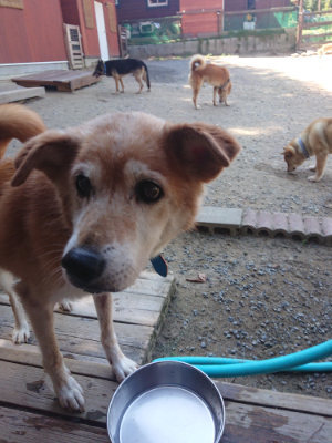 f:id:roukenhome-ann:20190812050235j:plain