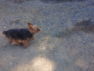 f:id:roukenhome-ann:20190812050246j:plain