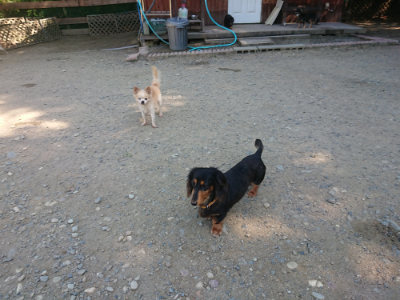 f:id:roukenhome-ann:20190812050256j:plain