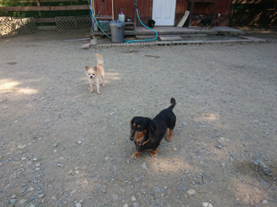 f:id:roukenhome-ann:20190812050311j:plain