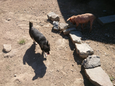 f:id:roukenhome-ann:20190812050407j:plain